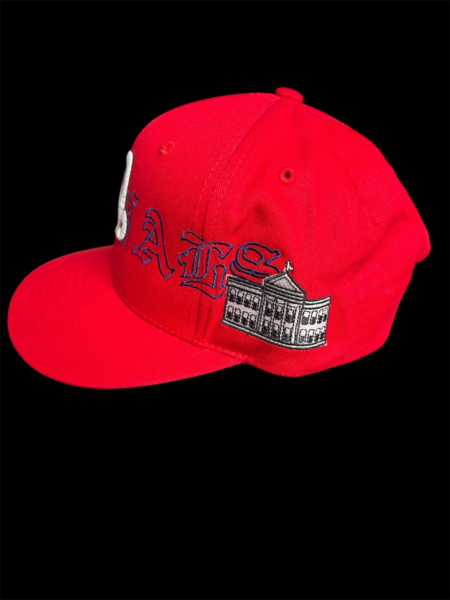 Washington Nationals Hat