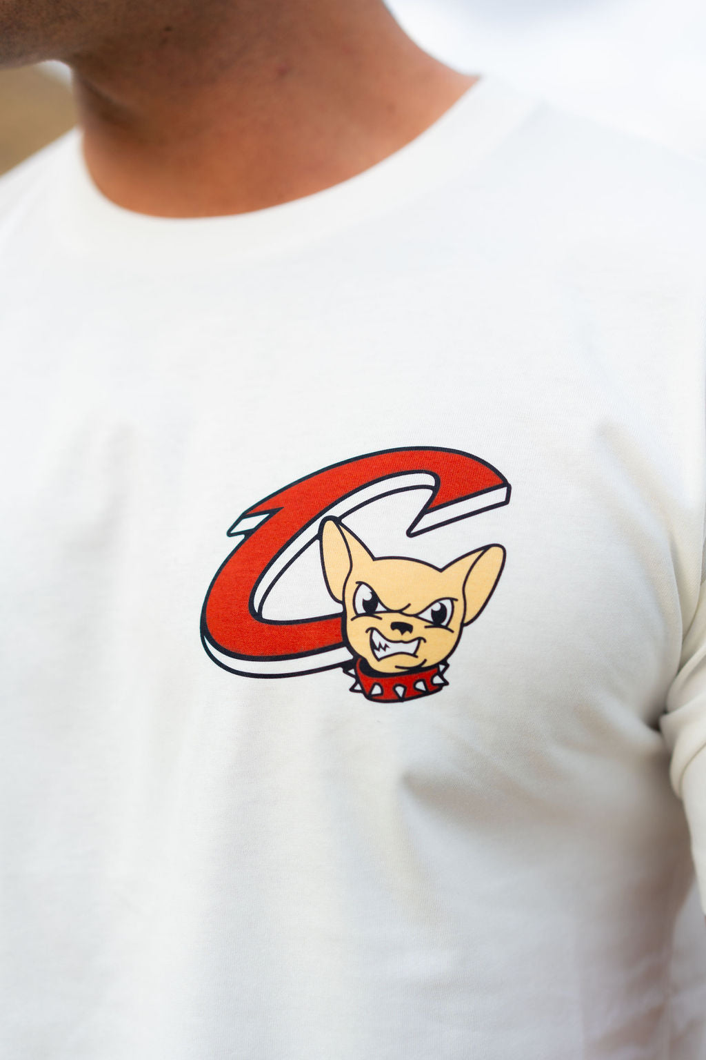CHIHUAHUA STATE T-SHIRT