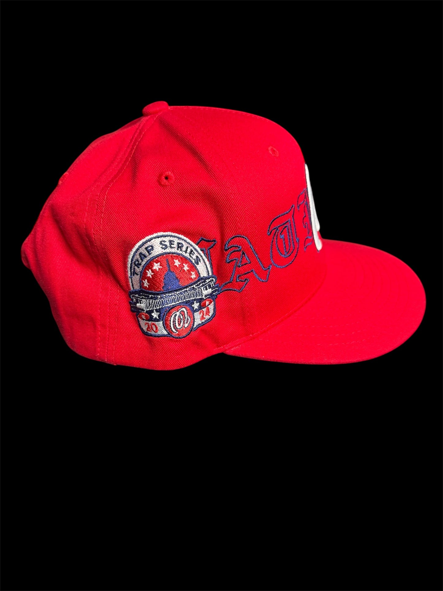 Washington Nationals Hat