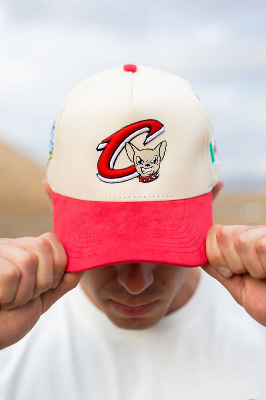 EL PASO CHIHUAHUAS DE CHIHUAHUA