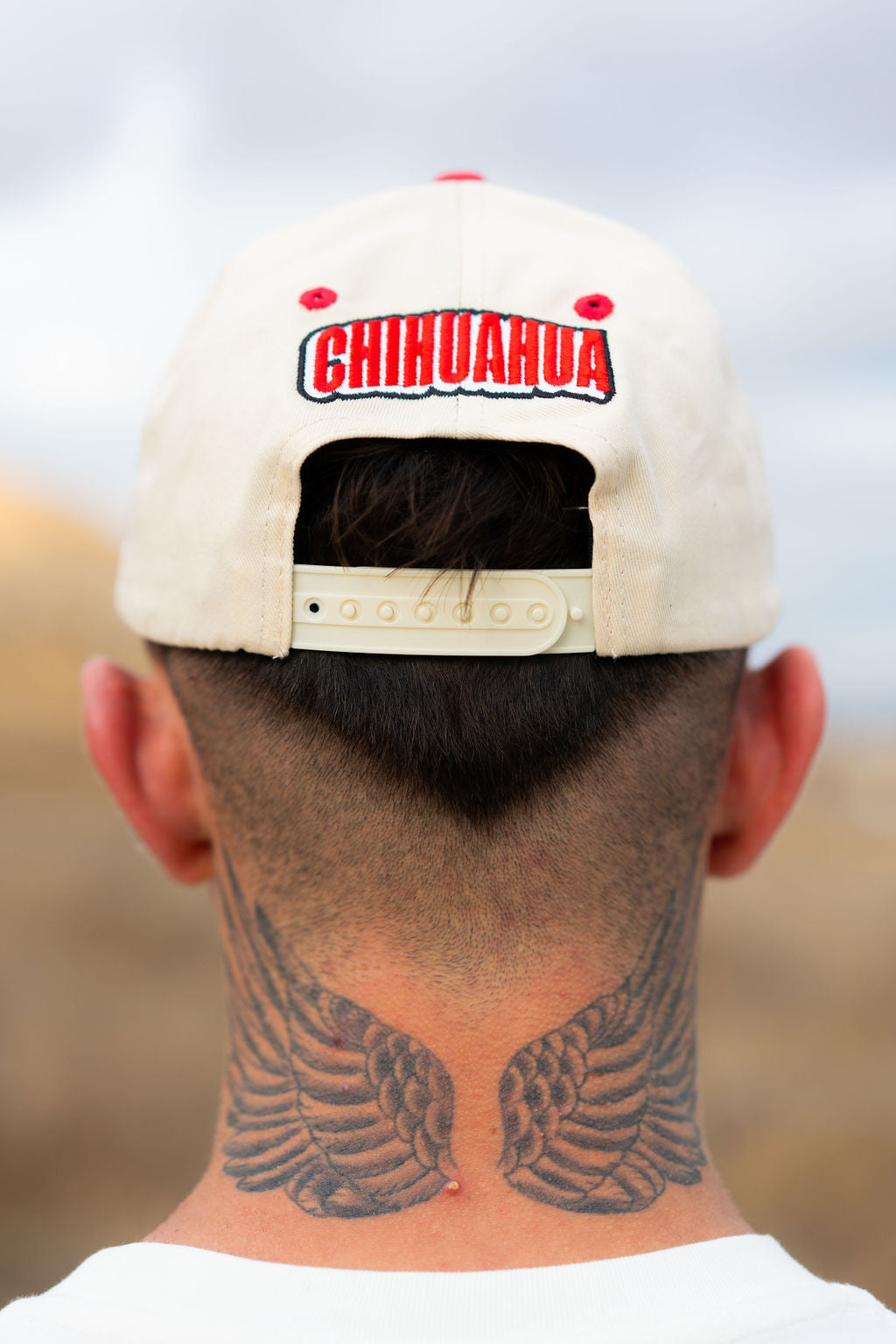 EL PASO CHIHUAHUAS DE CHIHUAHUA