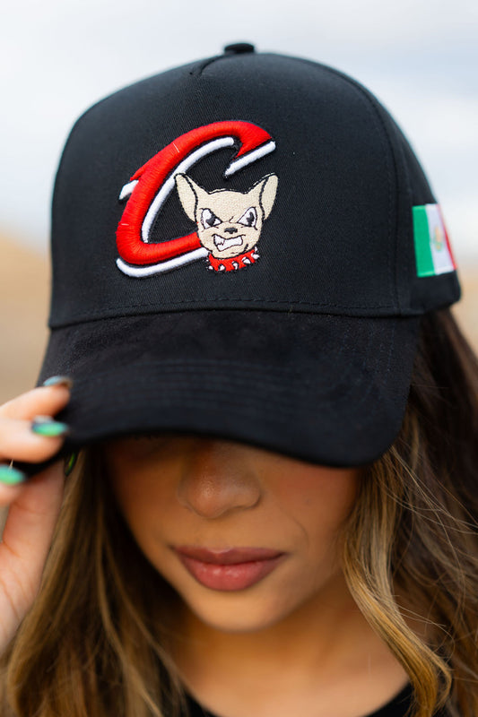 EL PASO CHIHUAHUAS DE CHIHUAHUA